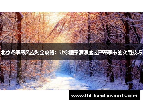 北京冬季寒风应对全攻略：让你暖意满满度过严寒季节的实用技巧