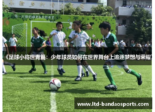 《足球小将世青篇：少年球员如何在世界舞台上追逐梦想与荣耀》