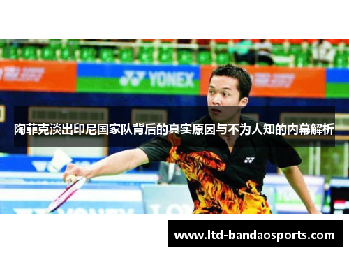 陶菲克淡出印尼国家队背后的真实原因与不为人知的内幕解析