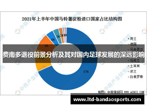 费南多退役前景分析及其对国内足球发展的深远影响