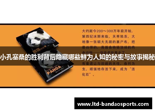 小孔塞桑的胜利背后隐藏哪些鲜为人知的秘密与故事揭秘